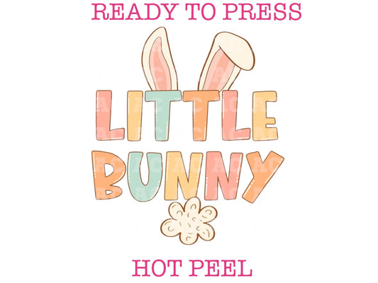 Little Bunny (Multicolor Pastel) Easter DTF TRANSFER