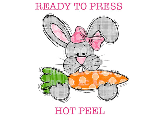 Carrot For The Easter Bunny Easter DTF TRANSFER