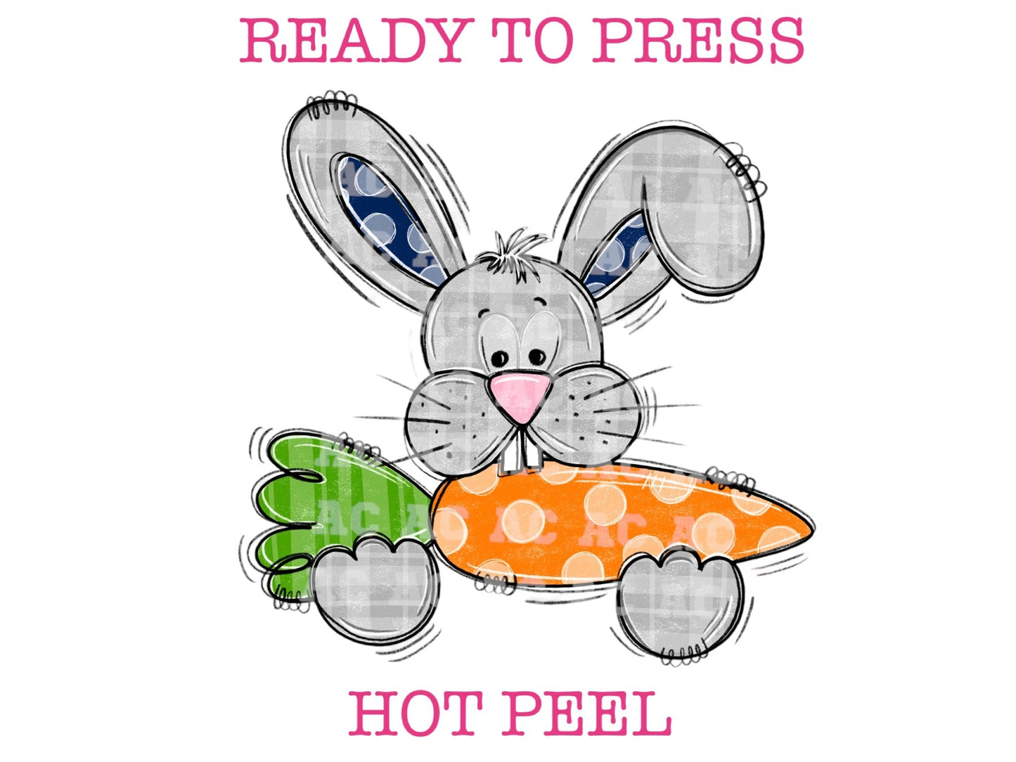 Carrot The Boy Easter Bunny Easter DTF TRANSFER