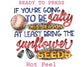 Salty Seeds Baseball DTF TRANSFER
